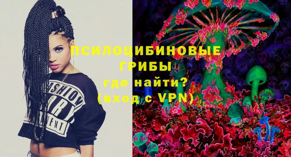 прущие грибы Абдулино