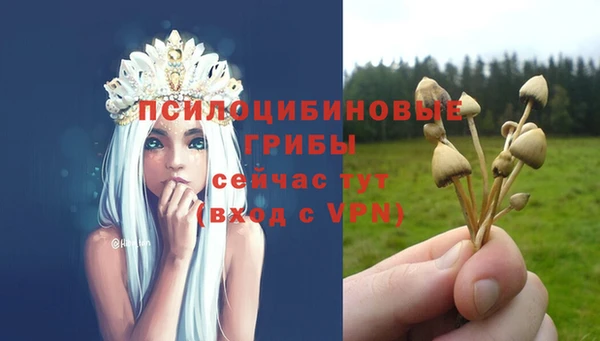 apvp Абаза