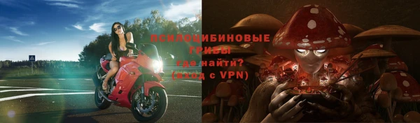 хмурый Абинск