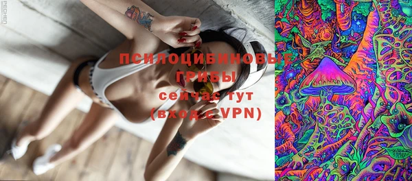 apvp Абаза