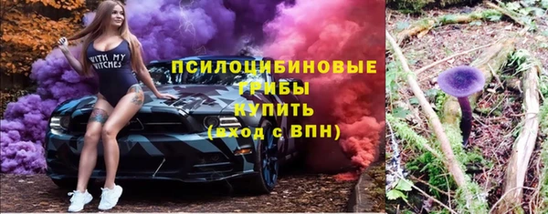 прущие грибы Абдулино