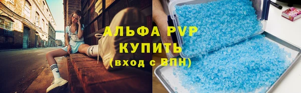 прущие грибы Абдулино