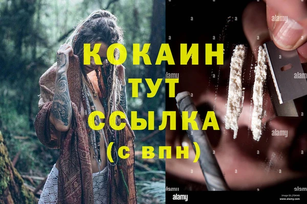 прущие грибы Абдулино