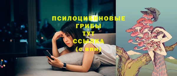 прущие грибы Абдулино