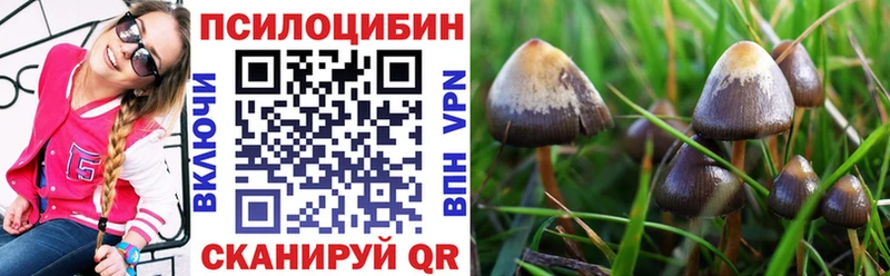 мориарти состав  Севастополь  Галлюциногенные грибы мицелий 